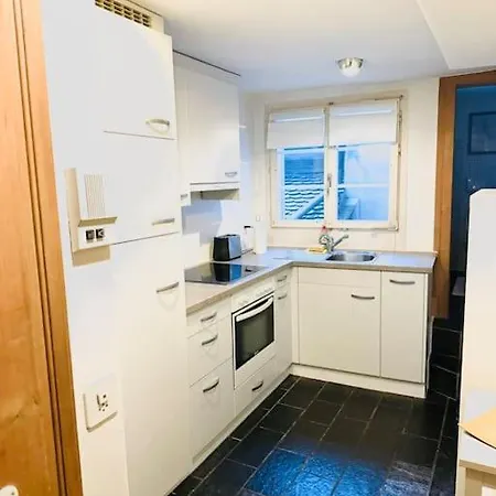 Historisches Im Herzen Von Apartament