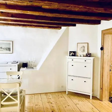 Historisches Im Herzen Von Zürih